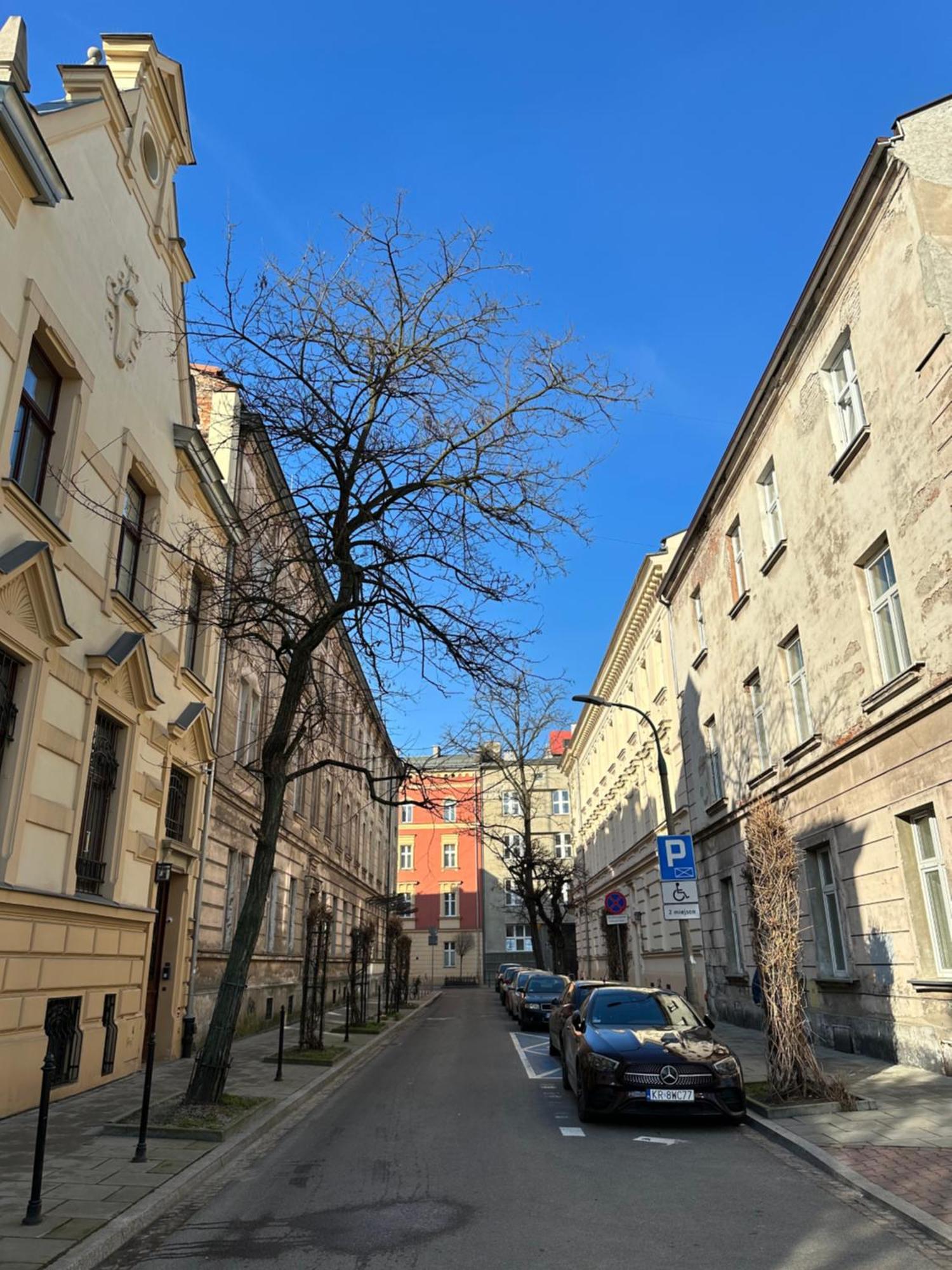 Perfect Place To Stay In Krakow City Center 28M2 W1 Exterior photo